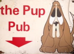 The_Pup_Pub